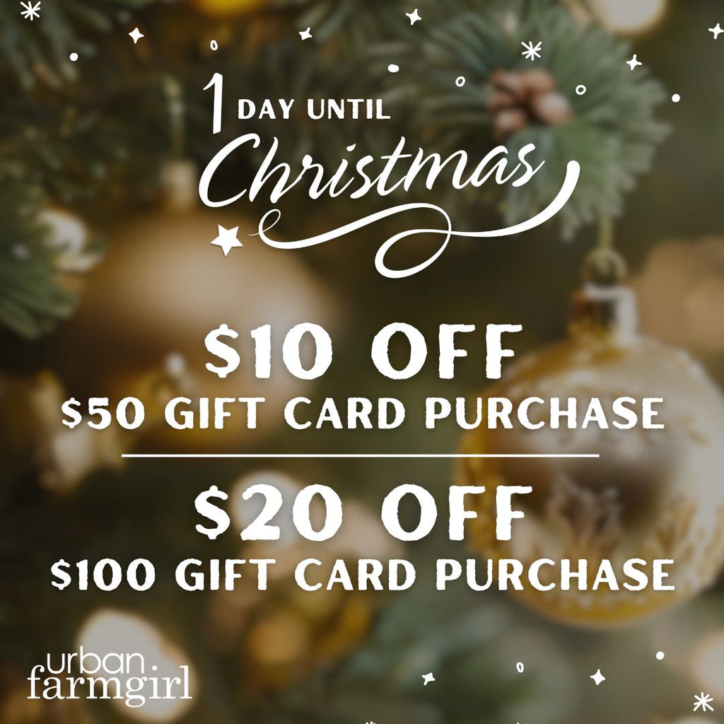 E-Gift Card Special