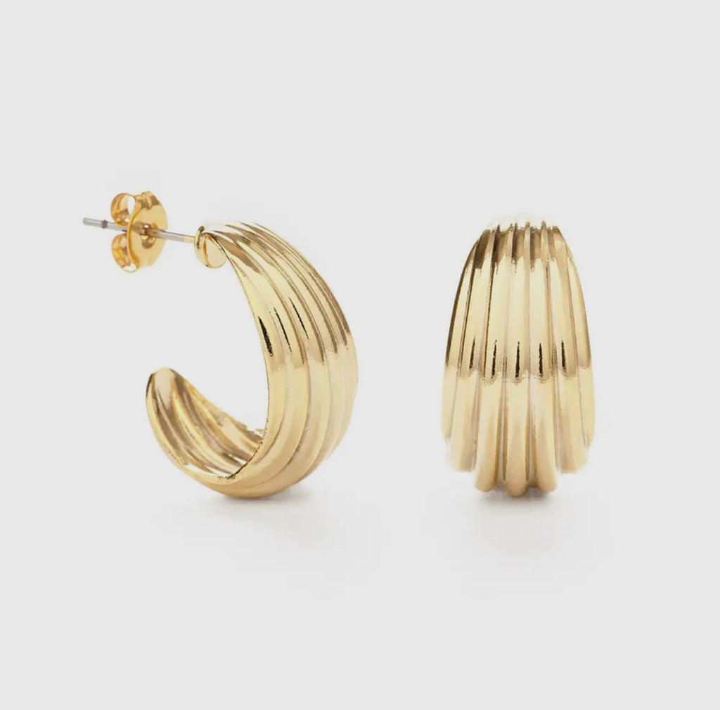 Ribbed Shell Hoop Earring