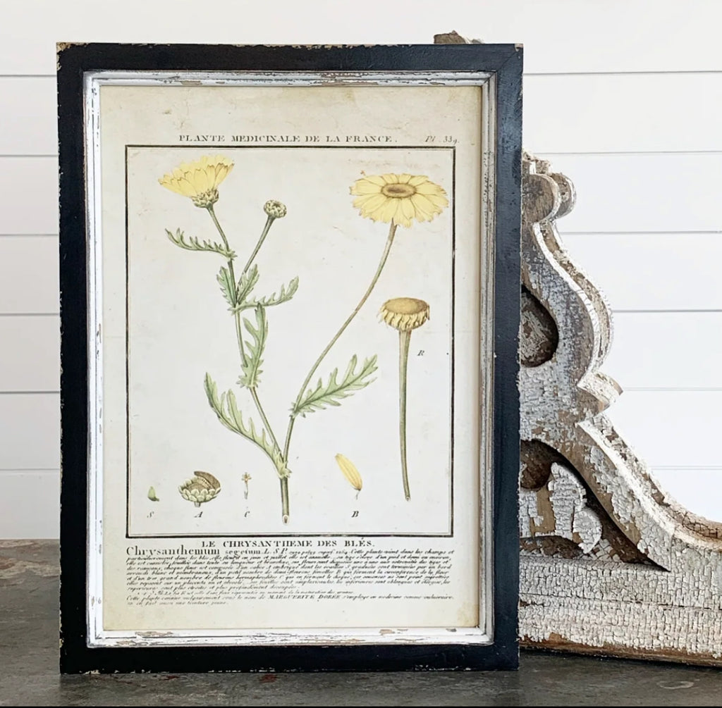 Yellow Botanical Print Collection - 9 Styles - FINAL SALE