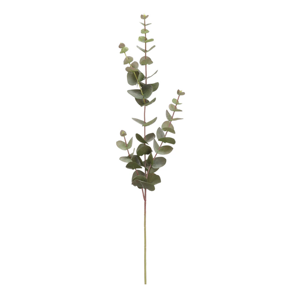 Round Eucalyptus - 32" Stem