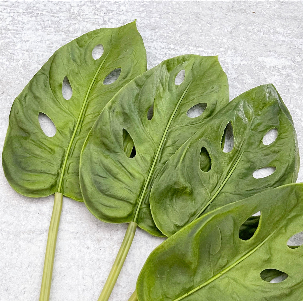 Swiss Cheese Leaf