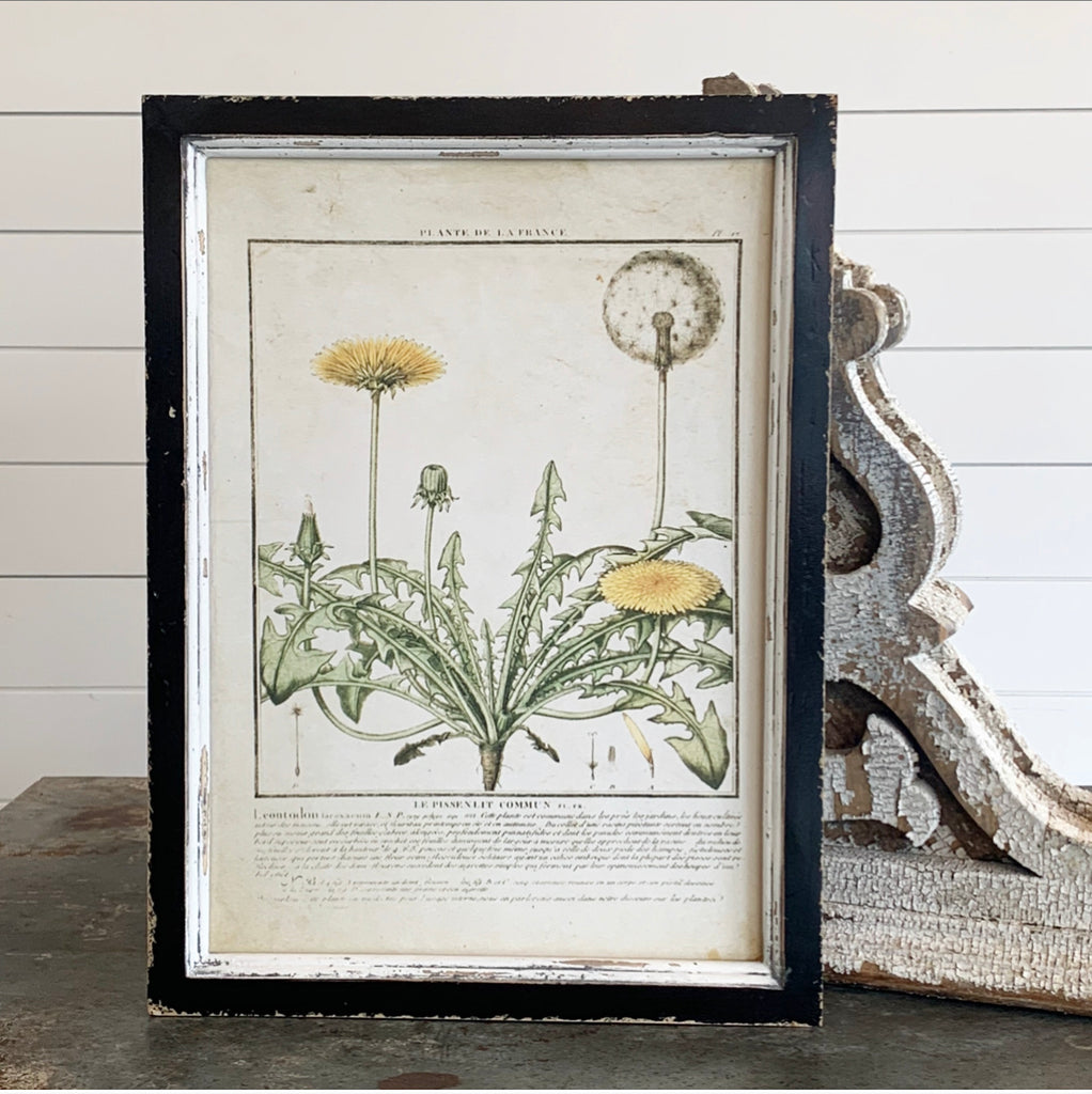 Yellow Botanical Print Collection - 9 Styles - FINAL SALE