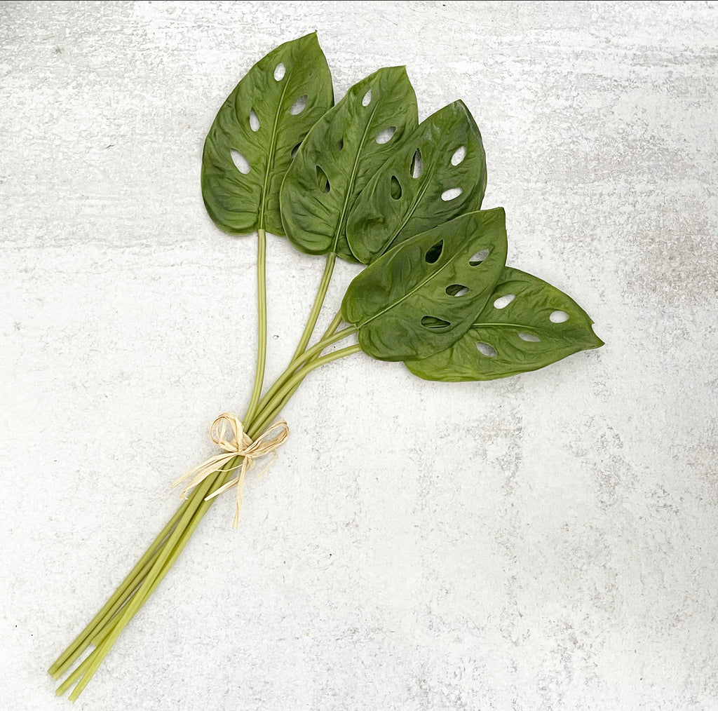 Swiss Cheese Leaf