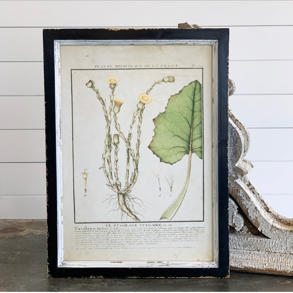 Yellow Botanical Print Collection - 9 Styles - FINAL SALE