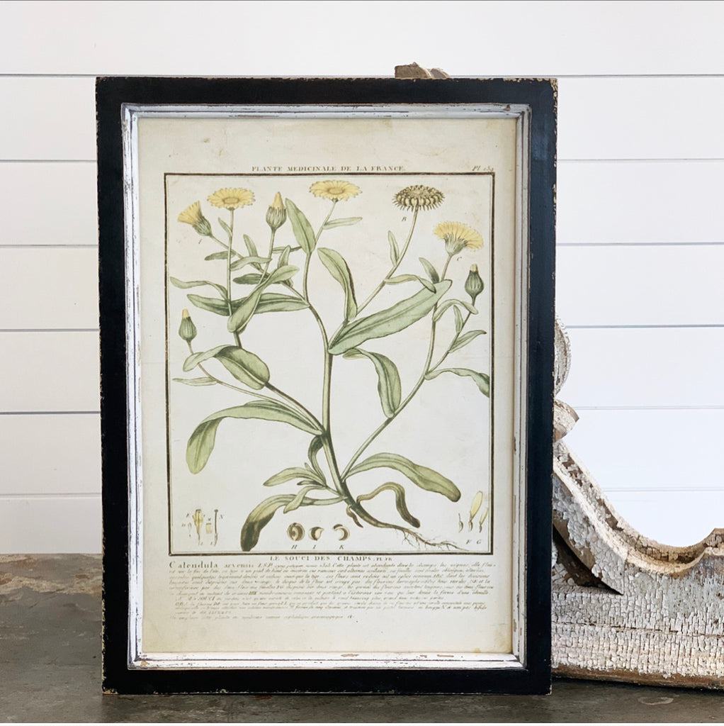 Yellow Botanical Print Collection - 9 Styles - FINAL SALE