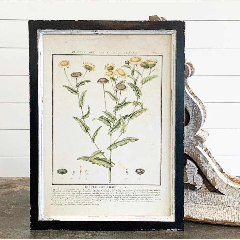 Yellow Botanical Print Collection - 9 Styles - FINAL SALE