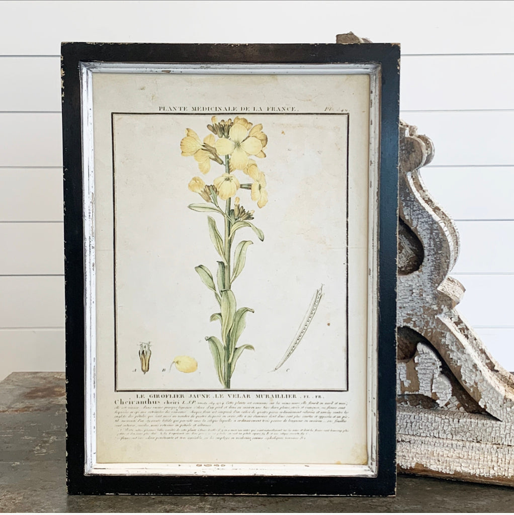 Yellow Botanical Print Collection - 9 Styles - FINAL SALE