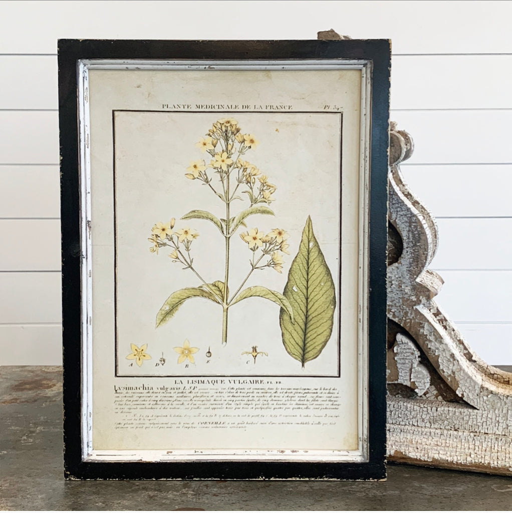 Yellow Botanical Print Collection - 9 Styles - FINAL SALE