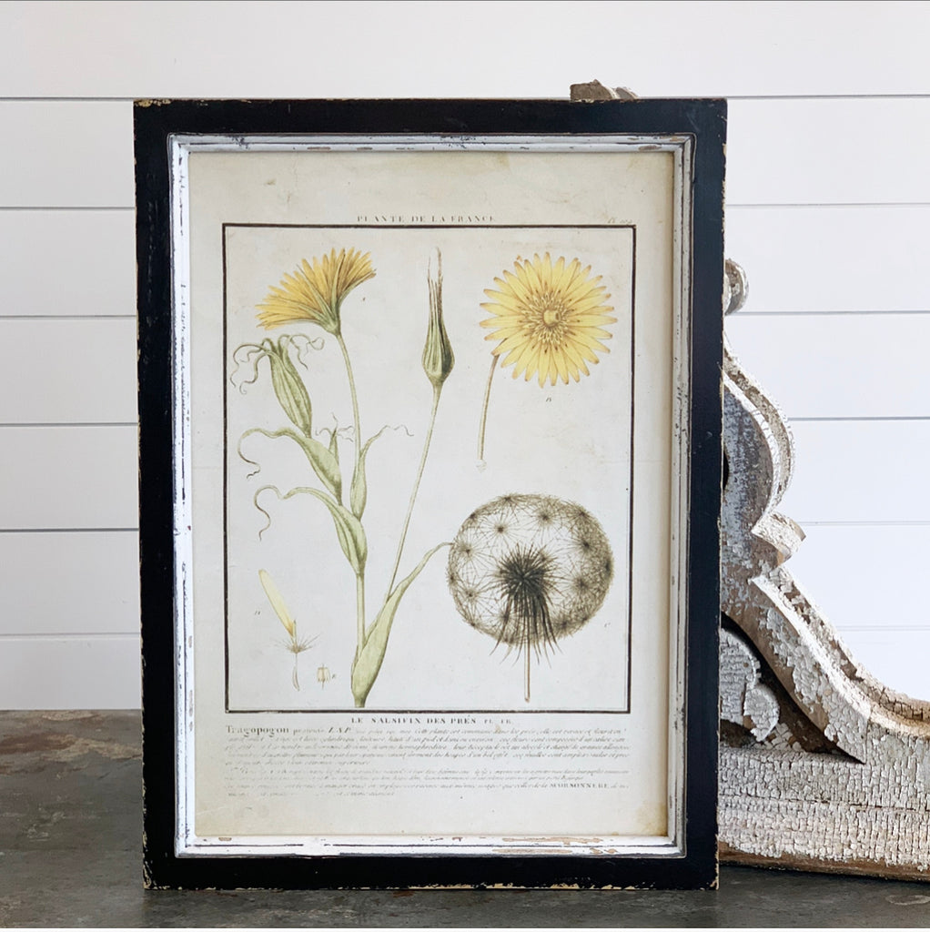 Yellow Botanical Print Collection - 9 Styles - FINAL SALE