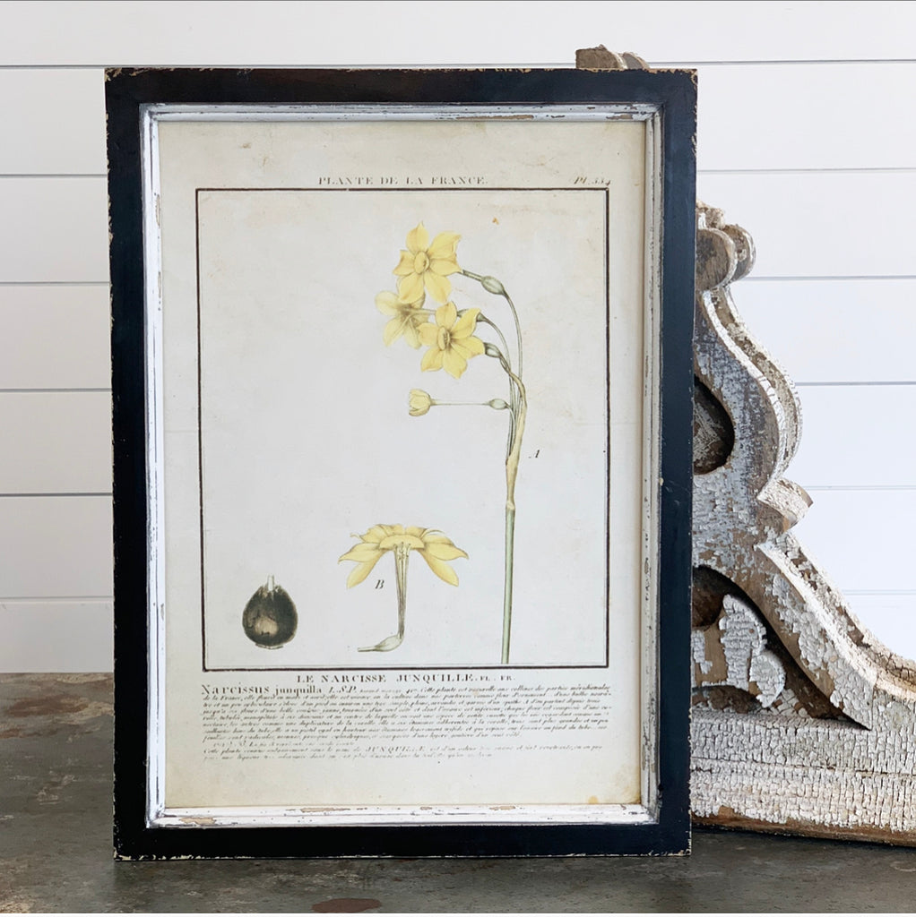 Yellow Botanical Print Collection - 9 Styles - FINAL SALE
