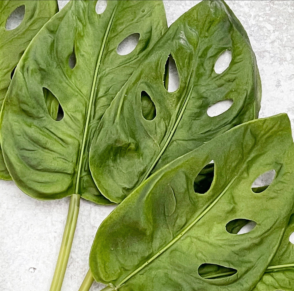 Swiss Cheese Leaf